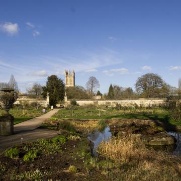 water garden  lower garden  oxford botanic garden